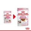 Royal Canin Kitten In Gravy - Katzenfutter -Zoofachgeschäft royal canin kitten in gravy kattenvoer 207080 0500 none