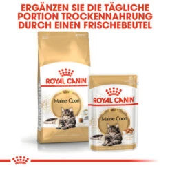 Royal Canin Maine Coon Adult - Katzenfutter -Zoofachgeschäft royal canin maine coon adult kattenvoer 124937 0500 none