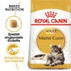 Royal Canin Maine Coon Adult - Katzenfutter -Zoofachgeschäft royal canin maine coon adult kattenvoer 124961 0500 none
