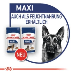 Royal Canin Maxi Ageing 8+ Wet - Hundefutter -Zoofachgeschäft royal canin maxi ageing 8 wet hondenvoer 129116 0500 none