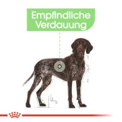 Royal Canin Maxi Digestive Care - Hundefutter -Zoofachgeschäft royal canin maxi digestive care hondenvoer 132482 0500 none