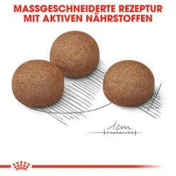 Royal Canin Maxi Digestive Care - Hundefutter -Zoofachgeschäft royal canin maxi digestive care hondenvoer 132494 0500 none