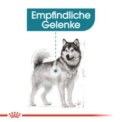 Royal Canin Maxi Joint Care - Hundefutter -Zoofachgeschäft royal canin maxi joint care hondenvoer 132533 0500 none