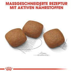 Royal Canin Maxi Joint Care - Hundefutter -Zoofachgeschäft royal canin maxi joint care hondenvoer 132551 0500 none