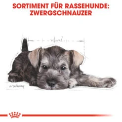 Royal Canin Mini Schnauzer Puppy - Hundefutter -Zoofachgeschäft royal canin mini schnauzer puppy hondenvoer 140182 0500 none
