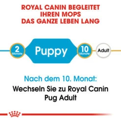Royal Canin Pug Puppy - Hundefutter 14 Royal Canin Pug Puppy - Hundefutter -Zoofachgeschäft royal canin pug puppy hondenvoer 139858 0500 none