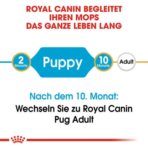 Royal Canin Pug Puppy - Hundefutter 7 Royal Canin Pug Puppy - Hundefutter – Bild 5