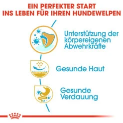 Royal Canin Pug Puppy - Hundefutter 11 Royal Canin Pug Puppy - Hundefutter -Zoofachgeschäft royal canin pug puppy hondenvoer 139876 0500 none