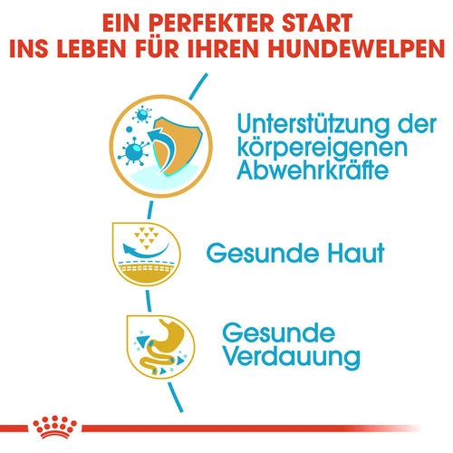 Royal Canin Pug Puppy - Hundefutter 4 Royal Canin Pug Puppy - Hundefutter – Bild 2