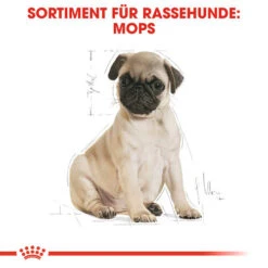 Royal Canin Pug Puppy - Hundefutter 13 Royal Canin Pug Puppy - Hundefutter -Zoofachgeschäft royal canin pug puppy hondenvoer 139885 0500 none