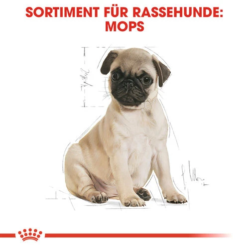 Royal Canin Pug Puppy - Hundefutter 6 Royal Canin Pug Puppy - Hundefutter – Bild 4