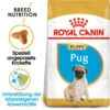 Royal Canin Pug Puppy - Hundefutter 2 Royal Canin Pug Puppy - Hundefutter -Zoofachgeschäft royal canin pug puppy hondenvoer 139921 0500 none