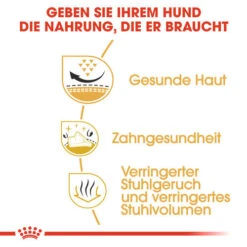 Royal Canin Shih Tzu Adult - Hundefutter 12 Royal Canin Shih Tzu Adult - Hundefutter -Zoofachgeschäft royal canin shih tzu adult hondenvoer 140336 0500 none