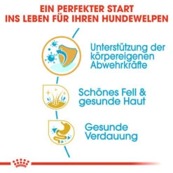 Royal Canin Shih Tzu Puppy - Hundefutter -Zoofachgeschäft royal canin shih tzu junior hondenvoer 140402 0500 none