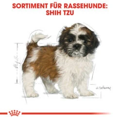 Royal Canin Shih Tzu Puppy - Hundefutter -Zoofachgeschäft royal canin shih tzu junior hondenvoer 140411 0500 none