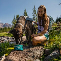 Ruffwear Flat Out Dog Collar - Alpenglow Burst -Zoofachgeschäft ruffwear flat out dog collar alpenglow burst 204812 0500 none