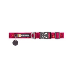 Ruffwear Flat Out Dog Collar - Alpenglow Burst -Zoofachgeschäft ruffwear flat out dog collar alpenglow burst 204824 0500 none