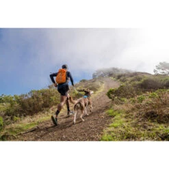 Ruffwear Hi & Light Harness 15 Ruffwear Hi & Light Harness -Zoofachgeschäft ruffwear hi light harness 196016 0500 none