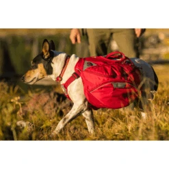 Ruffwear Palisades Pack -Zoofachgeschäft ruffwear palisades pack 199577 0500 none