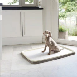 Savic Puppy Trainer + Pads -Zoofachgeschäft savic puppy trainer pads 163498 0500 none