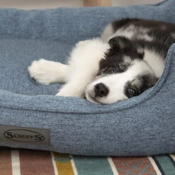 Scruffs Manhattan Box Bett 13 Scruffs Manhattan Box Bett -Zoofachgeschäft scruffs manhattan box bed 209510 0500 none