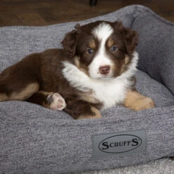 Scruffs Manhattan Box Bett 10 Scruffs Manhattan Box Bett -Zoofachgeschäft scruffs manhattan box bed 209513 0500 none