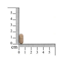 Sensipharm Inconti Stop Hund 7 Sensipharm Inconti Stop Hund -Zoofachgeschäft sensipharm inconti stop hond 174532 0500 none