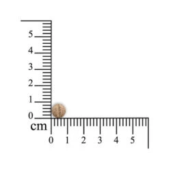 Sensipharm Sneeze Aid Katze -Zoofachgeschäft sensipharm sneeze aid kat 174685 0500 none