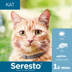 Seresto Für Katzen -Zoofachgeschäft seresto kat 182296 0500 none