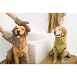 Siccaro DryGlove -Zoofachgeschäft siccaro dryglove 196901 0500 none