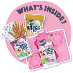 Smoofl Hundeeis Starter Kit -Zoofachgeschäft smoofl dog ice starter kit 195173 0500 none