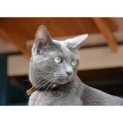 Spotted! Pro Dog & Cat 8 Spotted! Pro Dog & Cat -Zoofachgeschäft spotted pro dog cat 166915 0500 none