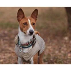 Spotted! Pro Dog & Cat 9 Spotted! Pro Dog & Cat -Zoofachgeschäft spotted pro dog cat 166918 0500 none