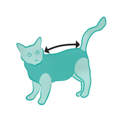 Suitical Recovery Suit Katze 4 Suitical Recovery Suit Katze – Bild 2