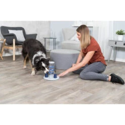 Trixie Dog Activity Gambling Tower -Zoofachgeschäft trixie dog activity gambling tower 179852 0500 none