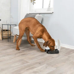 Trixie Doppel-Futterautomat TX2 -Zoofachgeschäft trixie dubbele voederautomaat tx2 170914 0500 none