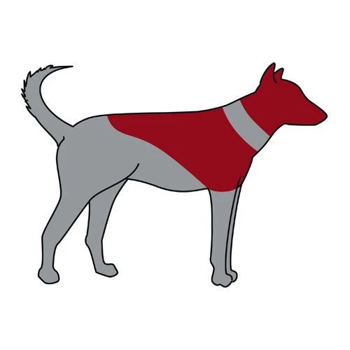 Trixie Aufblasbare Halskrause 5 Trixie Aufblasbare Halskrause – Bild 3