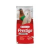 Versele-Laga Prestige Taube -Zoofachgeschäft versele laga prestige tortelduif 121414 0500 none