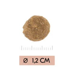 Vetality Gastrointestinal Low Fat - Hundefutter -Zoofachgeschäft vetality gastrointestinal low fat hondenvoer 195467 0500 none