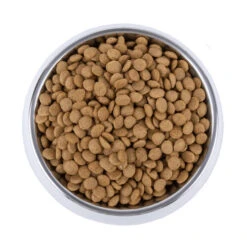 Vetality Skin Support - Hundefutter 9 Vetality Skin Support - Hundefutter -Zoofachgeschäft vetality skin support hondenvoer 195221 0500 none