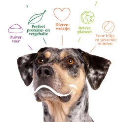 Yarrah - Bio Trockenfutter Vega Getreidefrei 9 Yarrah - Bio Trockenfutter Vega Getreidefrei -Zoofachgeschäft yarrah bio droogvoer hond vega graanvrij 201212 0500 none