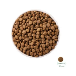 Yarrah Bio-Katzenfutter Grain-Free Für Sterilisierte Katzen 10 Yarrah Bio-Katzenfutter Grain-Free Für Sterilisierte Katzen -Zoofachgeschäft yarrah droogvoer gesteriliseerde kat graanvrij bio 201167 0500 none