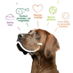 Yarrah - Trockenfutter Sensitiv Mit Huhn Und Reis Bio 9 Yarrah - Trockenfutter Sensitiv Mit Huhn Und Reis Bio -Zoofachgeschäft yarrah droogvoer hond sensitive bio 199148 0500 none