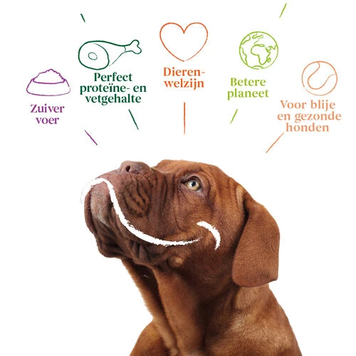 Yarrah - Bröckchen Huhn Mit Brennnessel & Tomate In Soße Bio 6 Yarrah - Bröckchen Huhn Mit Brennnessel & Tomate In Soße Bio – Bild 4