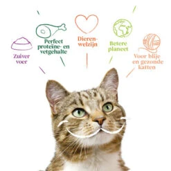 Yarrah - Katzenfutter Paté Rind Mit Chicorée Bio 11 Yarrah - Katzenfutter Paté Rind Mit Chicorée Bio -Zoofachgeschäft yarrah pat kat kuipje met rund bio 201059 0500 none