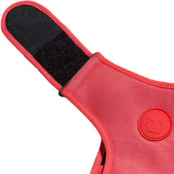 Zee.Dog Adjustable Air Mesh Harness -Zoofachgeschäft zeedog adjustable air mesh harness 215576 0500 none