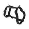 Zee.Dog H-Geschirr 1 Zee.Dog H-Geschirr -Zoofachgeschäft zeedog h harness 201491 0500 none