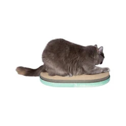 Zee.dog Scratcher -Zoofachgeschäft zeedog scratcher 201866 0500 none