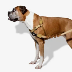 Zee.Dog Soft Walk Harness 17 Zee.Dog Soft Walk Harness -Zoofachgeschäft zeedog soft walk harness 200678 0500 none