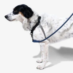 Zee.Dog Soft Walk Harness 19 Zee.Dog Soft Walk Harness -Zoofachgeschäft zeedog soft walk harness 200684 0500 none